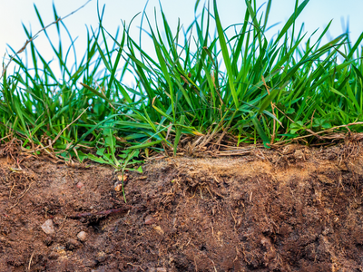 Untitled design (14)