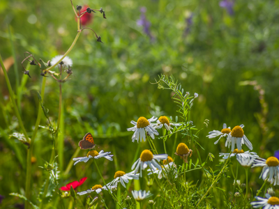 Untitled design (15)